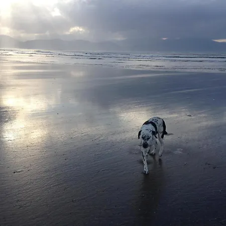 Foleysbarinch 3*